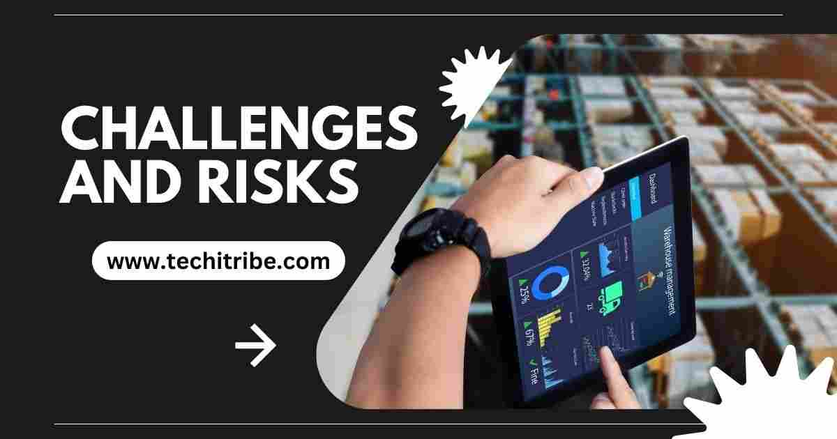 Challenges and Risks